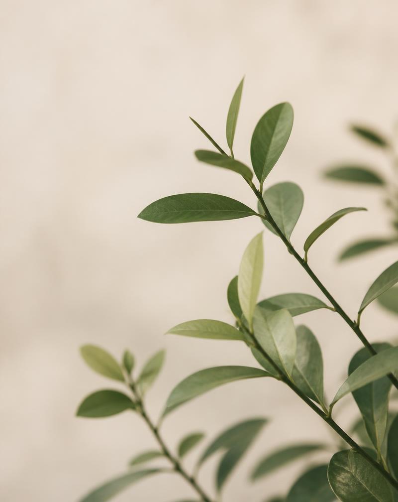 Fresh green leaves in soft daylight, echoing the Knobbe Bookkeeping leaf mark